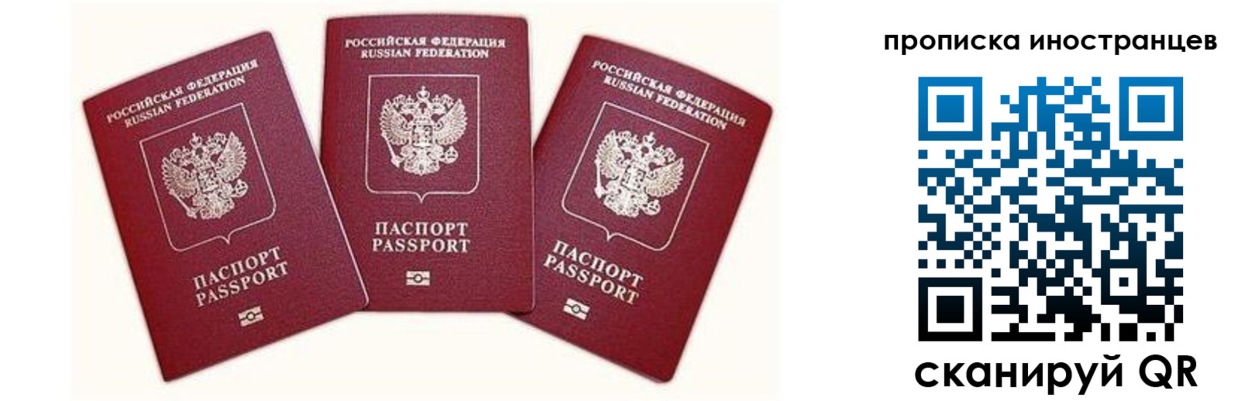 прописка в Обояни